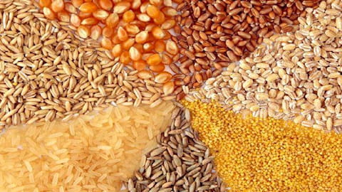 قیمت کنسانتره آجیلی اسب + خرید باور نکردنی 2